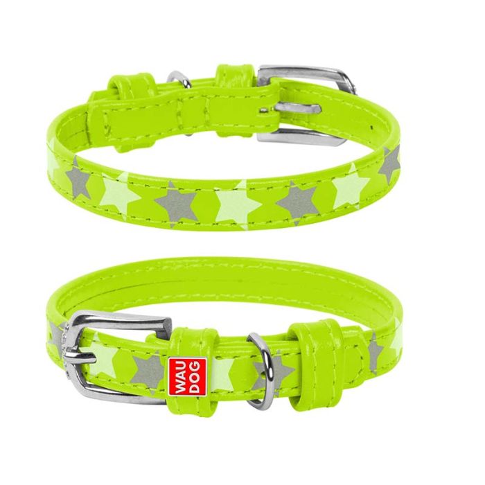 Collier GALMOUR STAR Pour Chien 19-25Cm - Vert