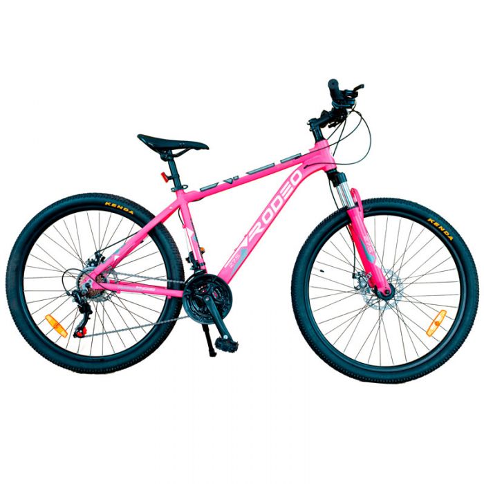 Cadre Vélo De Route De Rosa Team 09 – Aluminium – Taille 56,5 – Couleur Rare