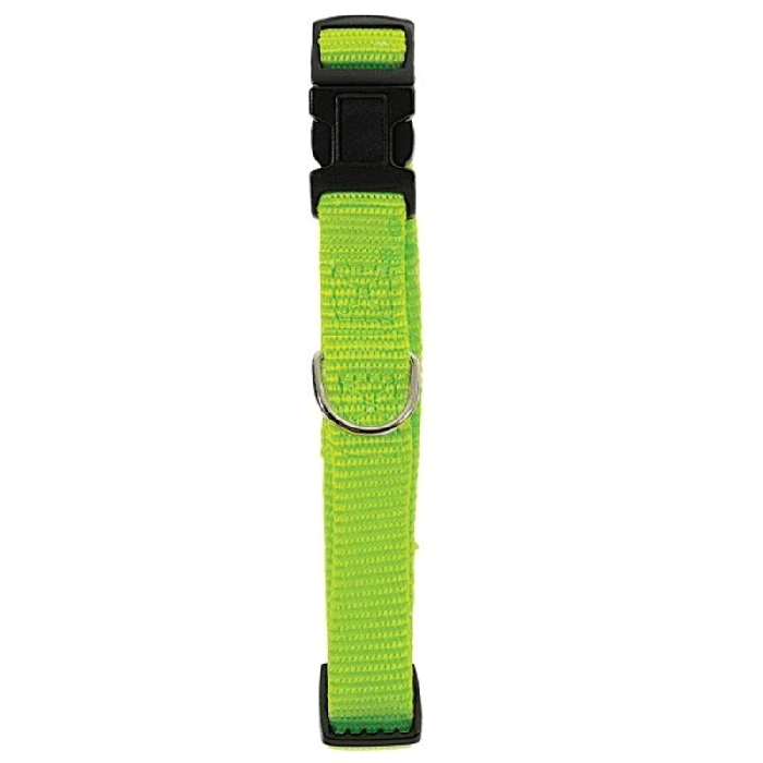 Collier Nylon Pour Chiens 10 mm - Vert Citron