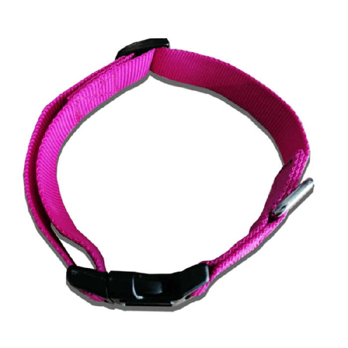 Collier Nylon Pour Chiens 10 mm - Fuchsia