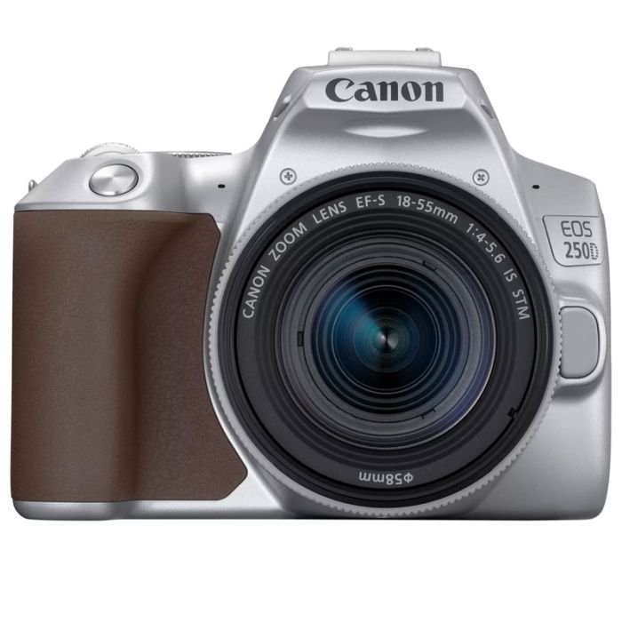 Appareil Photo Reflex CANON EOS 250D + Objectif 18-55 mm - Silver