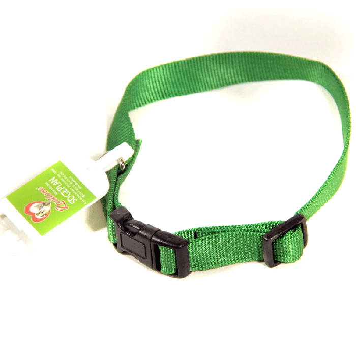 Collier Nylon Pour Chiens 19 mm - Vert