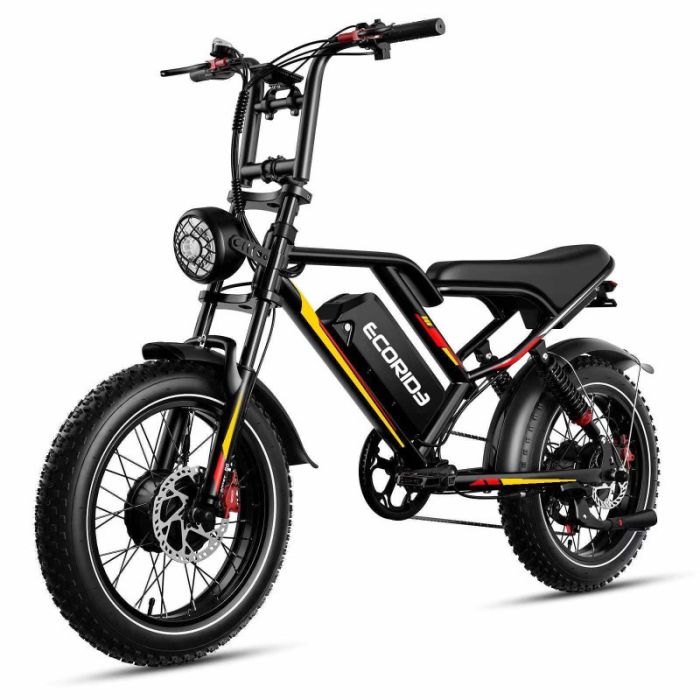 Bicyclette Électrique ECORIDE ER2-V2 500w - Noir