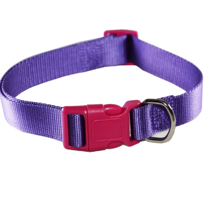 Collier FELICAN Pour Chiens 1cm Uni - Mauve