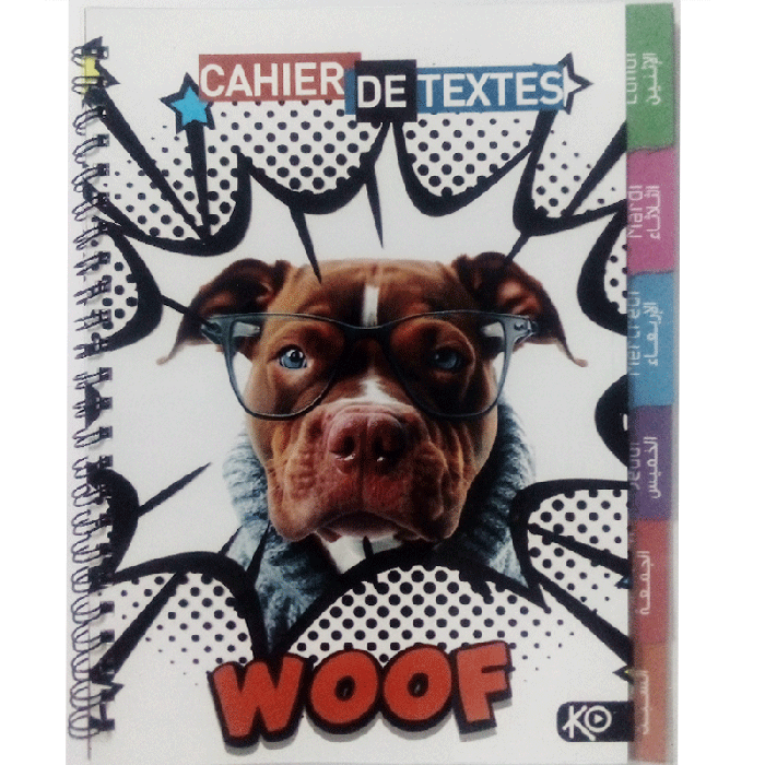 Cahier De Texte FANTAISIE KO Couverture Plastique 