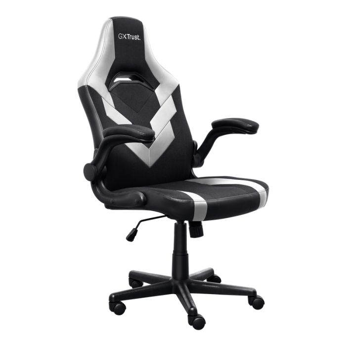 
Chaise Gaming TRUST GXT703W RIYE Avec Accoudoirs - Noir&Blanc
