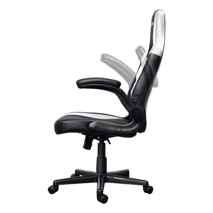 
Chaise Gaming TRUST GXT703W RIYE Avec Accoudoirs - Noir&Blanc
