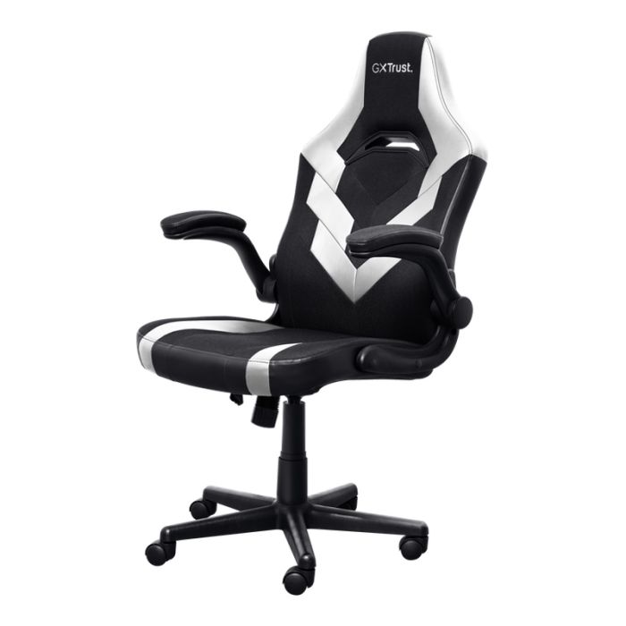 
Chaise Gaming TRUST GXT703W RIYE Avec Accoudoirs - Noir&Blanc
