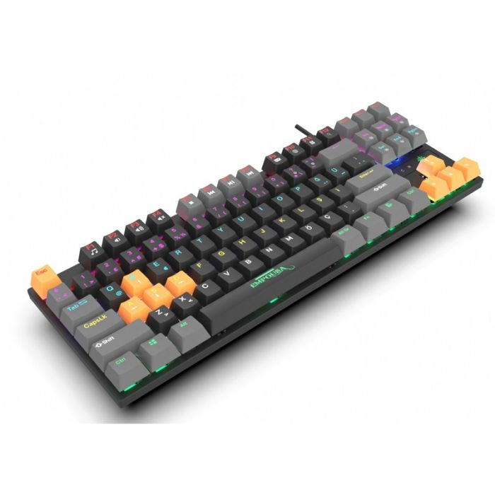 Clavier Gamer Filaire INCA IKG-439 Mécanique Interrupteur rouge RGB
