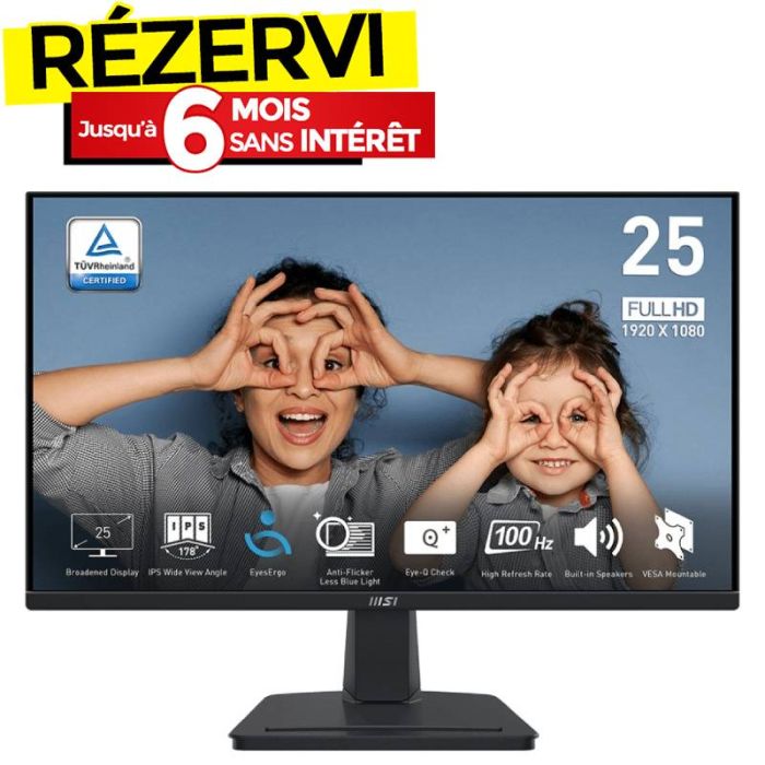 Ecran MSI PRO MP251 24,5