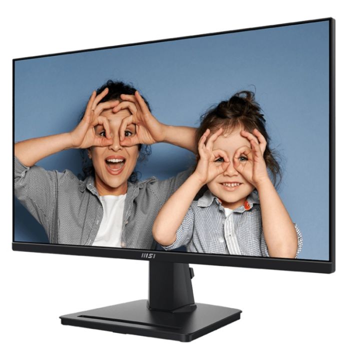 Ecran MSI PRO MP251 24,5