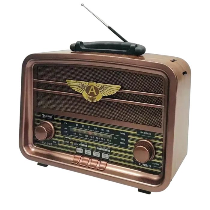 Haut Parleur et Radio Golon Sans Fil RXBT939SQ - Marron