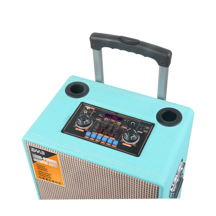 Haut Parleur Sans Fil B-V12 + 2 Microphones + Radio Bluetooth 