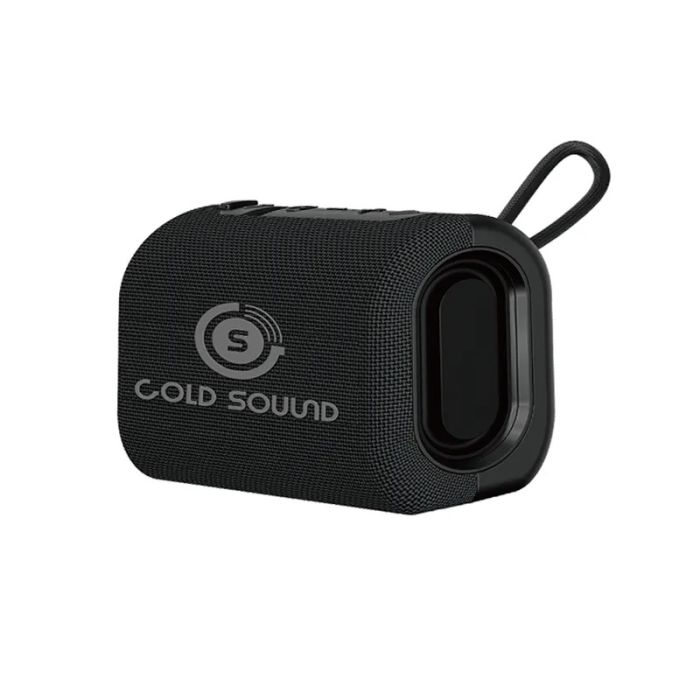 Haut parleur Sans Fil GOLD SOUND GS 21 - Noir