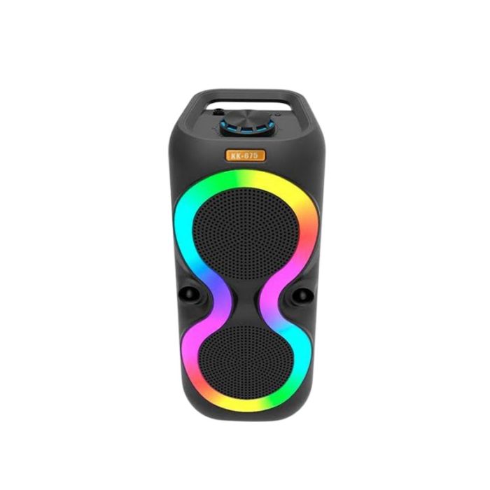 Haut Parleur Sans Fil KK675 Avec Microphone  - Noir