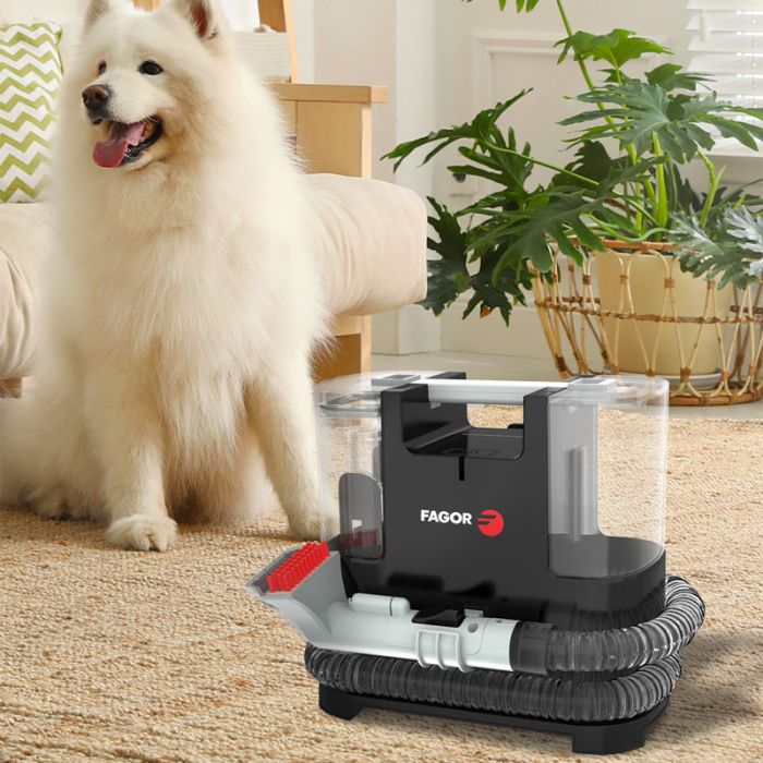 Injecteur Multi Surface FAGOR FG1350 400W - Noir