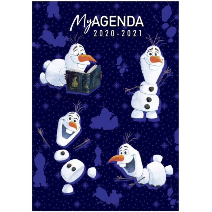 Agendas Scolaires YAMAMA 12X17 Flexicover Disney 2020-2021