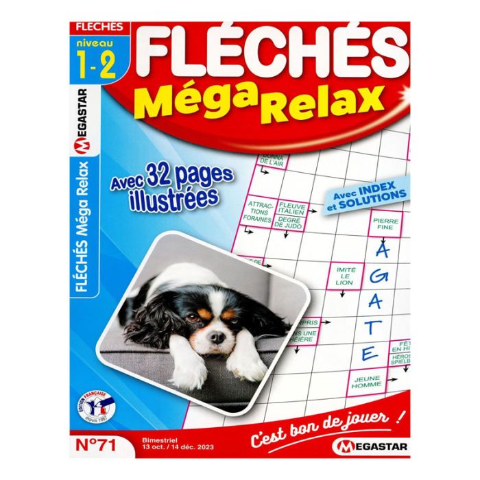 Magazine Sport Cérébral Fléchés Méga Relax Niveau 1/2