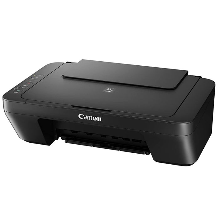 Imprimante Multifonction Canon PIXMA MG2540 Couleur