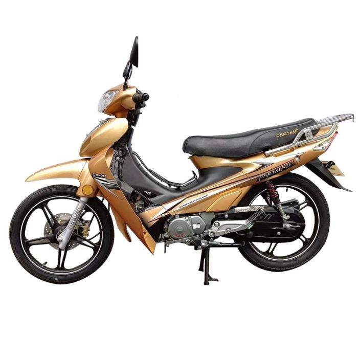 Moto ZIMOTA Partner 109cc - Gold