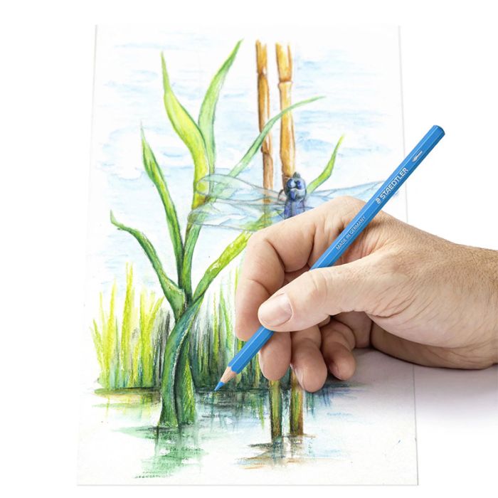 Pack de 12 Crayons aquarellables de couleurs STAEDTLER Design Journey