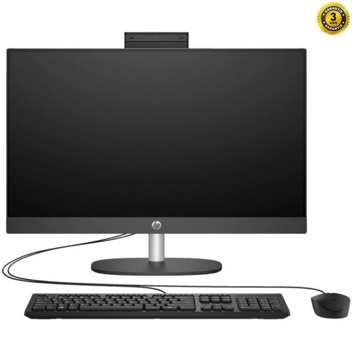 PC de Bureau All In One HP ProOne 240 G10 i3 N300 16Go 256Go SSD - Noir