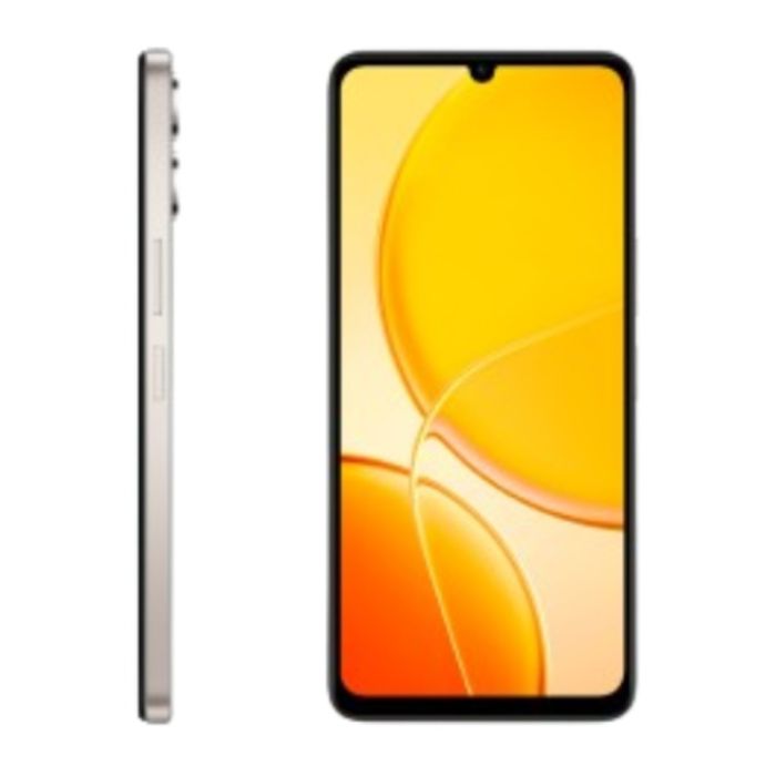 Smartphone VIVO Y04 4Go 64Go - Or Titane
