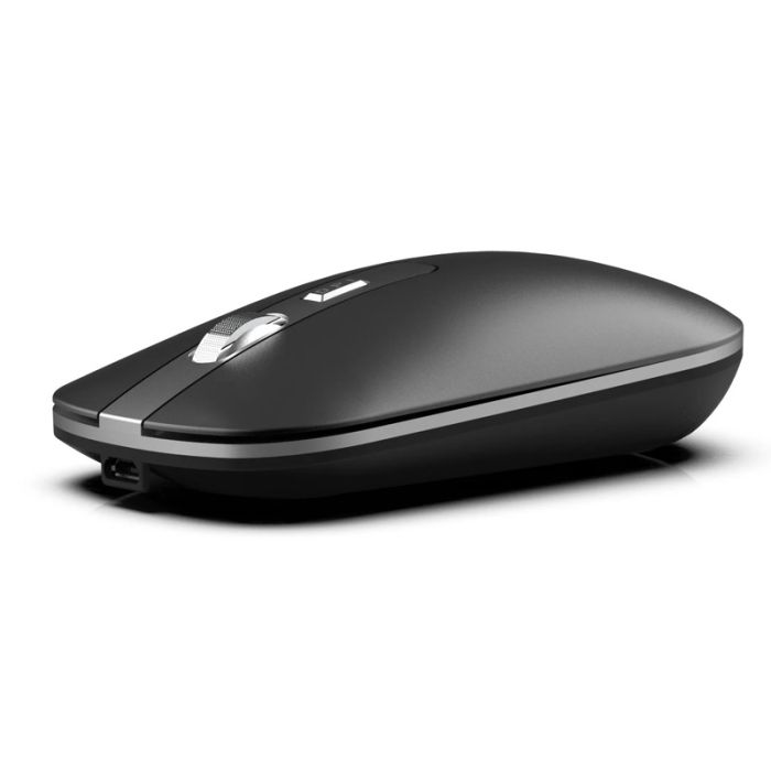 Souris Sans Fil INCA IWM-531RA Rechargeable - Noir