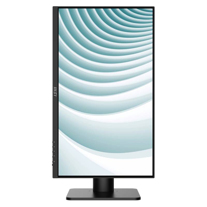 Ecran MSI PRO MP243XP 24" IPS FHD 100Hz Noir - MSI