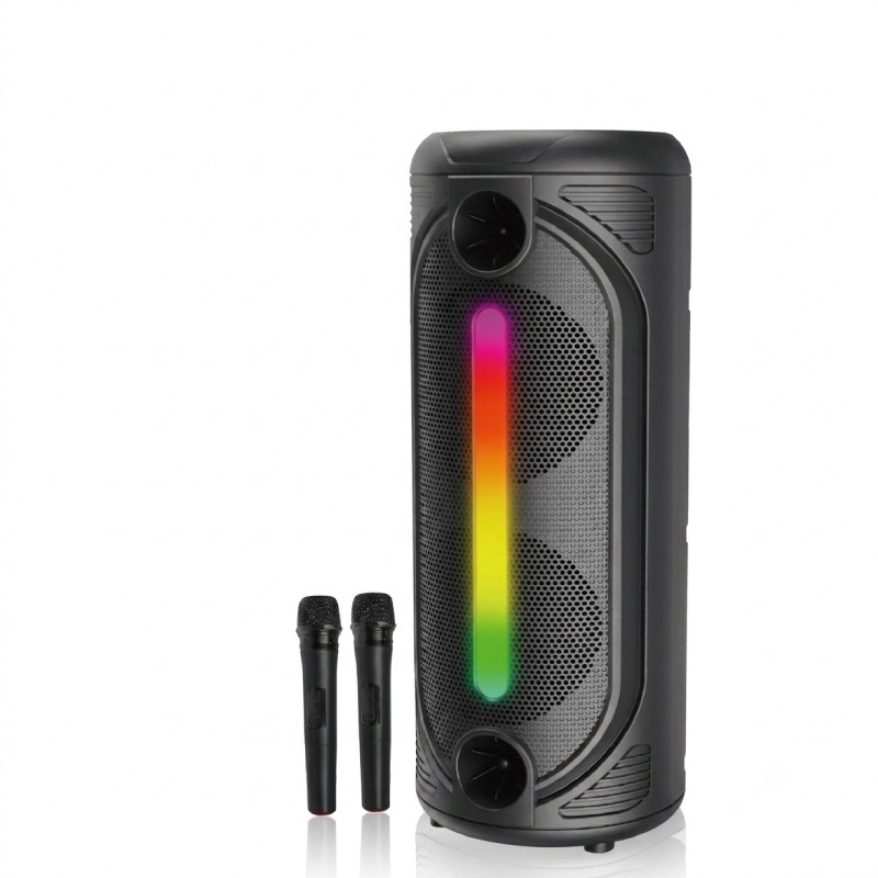 Haut parleur Bluetooth QL-8306 Avec Double Micros Sans Fil et Télécommande