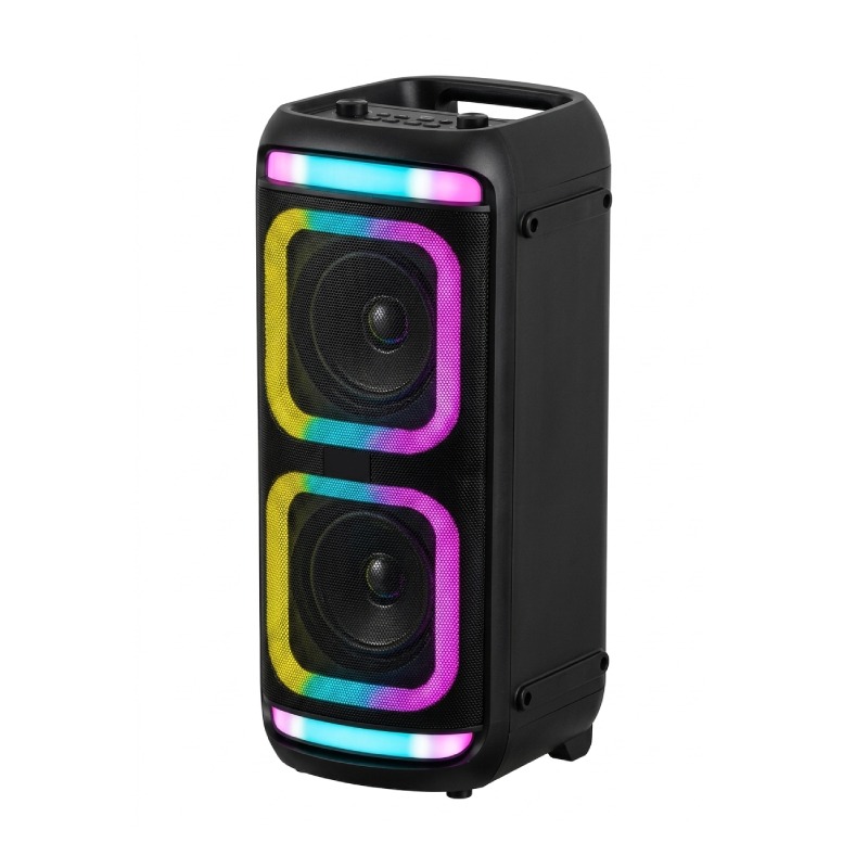 Haut Parleur Sans Fil 20W CS-4431 - Noir