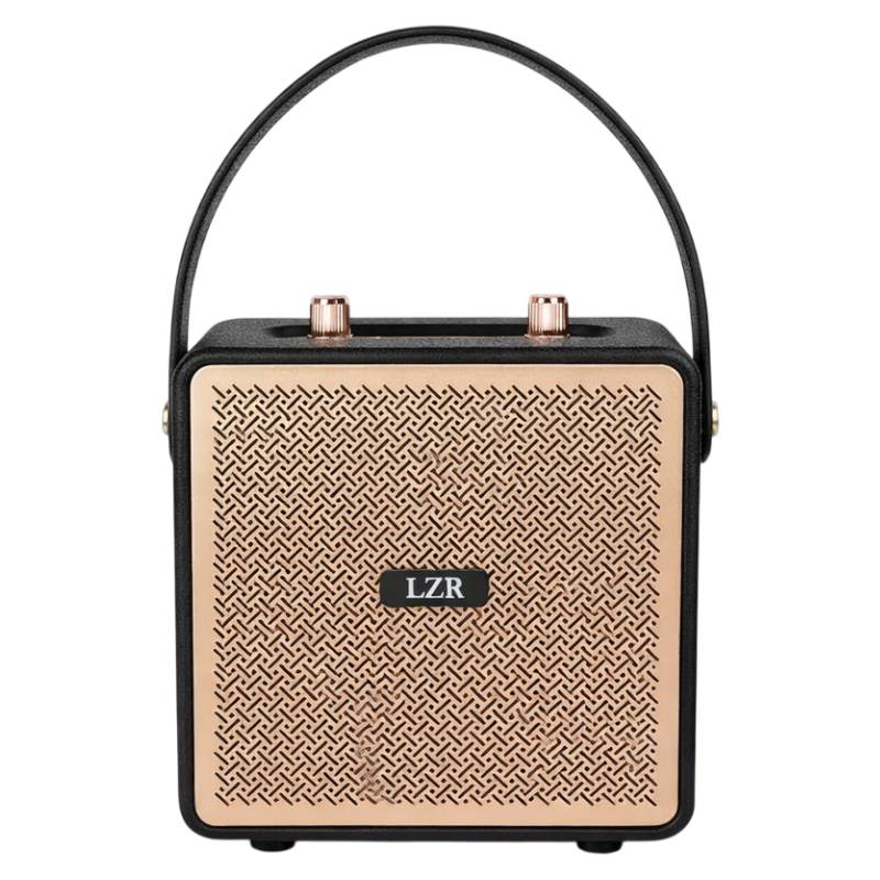 Haut-parleur Sans Fil LZR-411 avec 2 micros - Noir