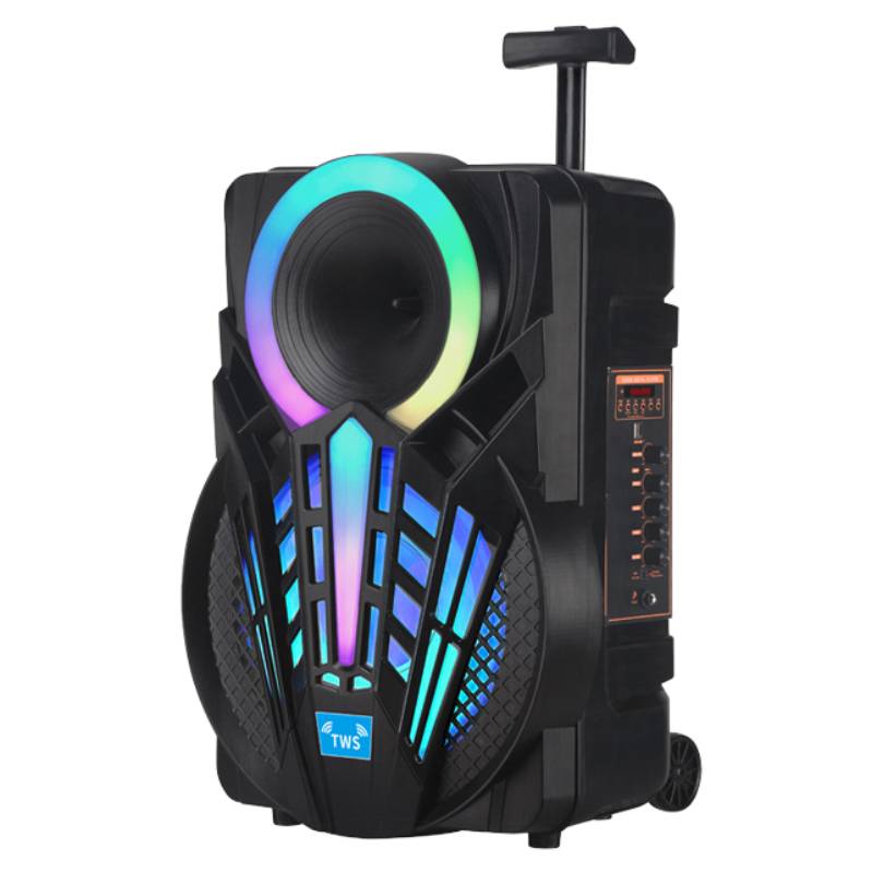 Haut parleur Sans fil NDR P15 bluetooth - Noir - NDR