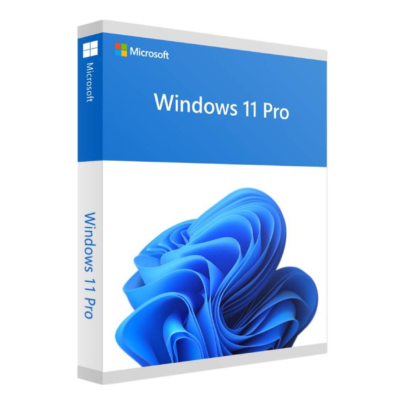 Microsoft Windows 11 Professionnel 64 Bits Anglais (FQC-10528)