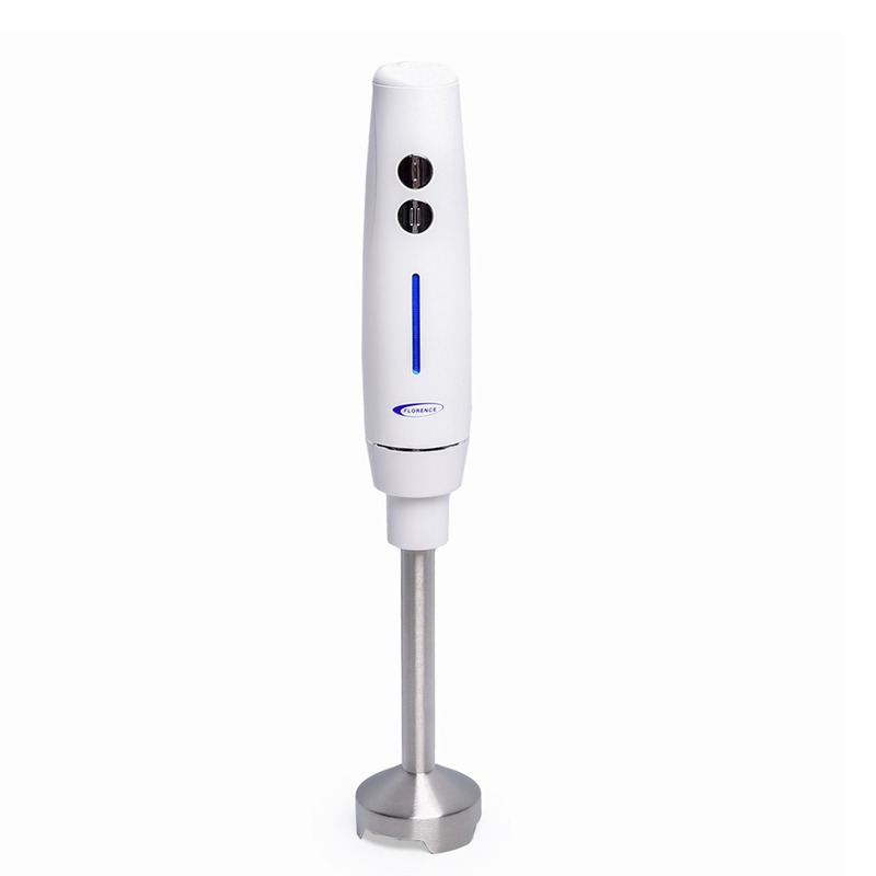 Mixeur Plongeant FLORENCE HK404 250W - Blanc