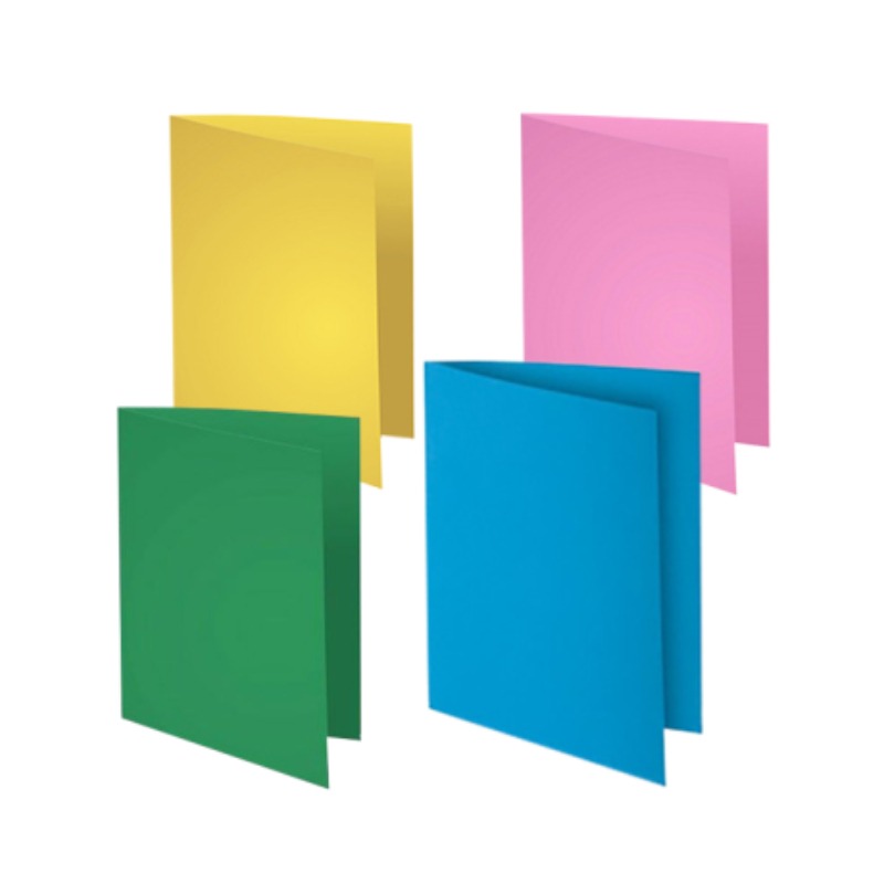Paquet De 10 Chemises RIBAT Bristol Vives 160Gr 24*32 - Assorties - RIBAT