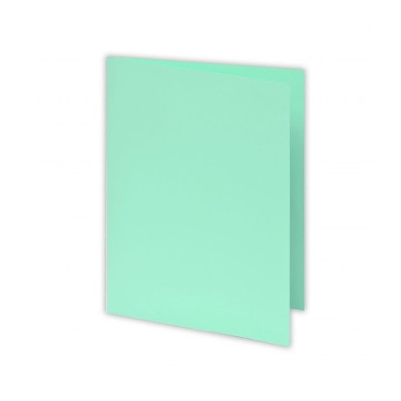 Paquet De 100 Chemises Cartonné RIBAT Bristol Pastel 160Gr 24*32 - Vert - RIBAT