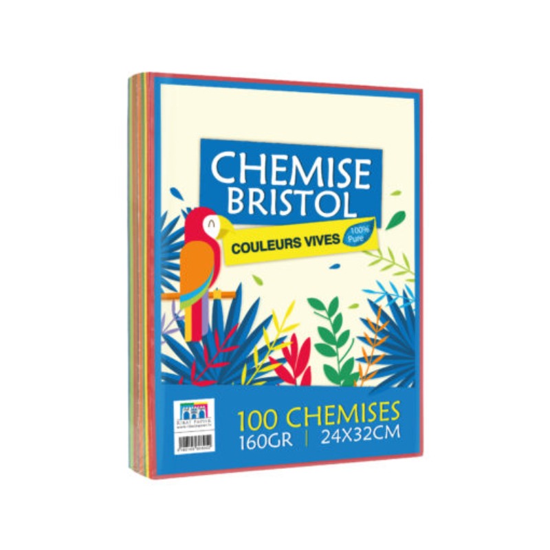 Paquet De 100 Chemises RIBAT BRISTOL VIVES 160G 24*32 - Assorties - RIBAT