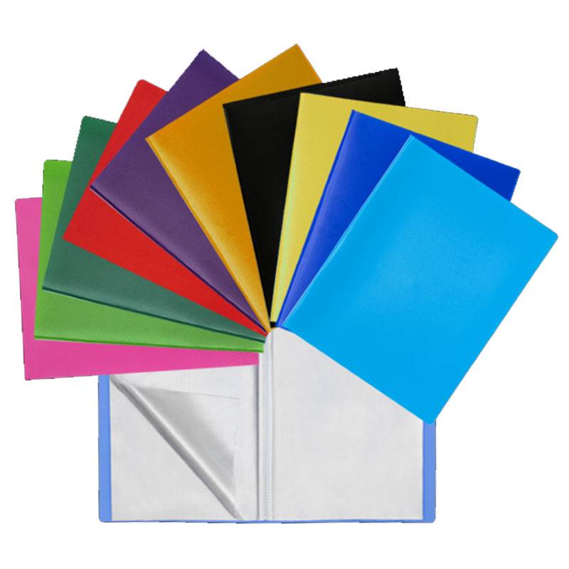 Porte-documents 60 vues OPAC Couleur Assortis Transparent