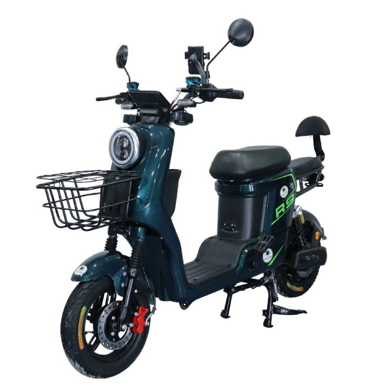 électrique Powtech 800 Watts - Noir - POWTECH